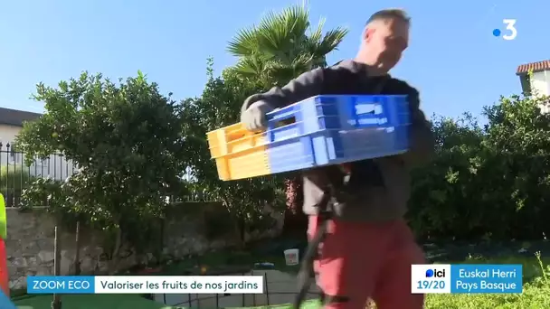 Etchetik, les fruits des jardins transformés en pâtes de fruits et gelées.