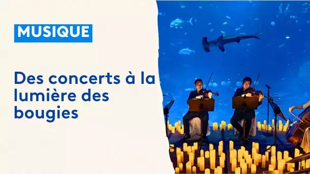 Concert à la bougie à l'Abbaye Royale de l'Epau