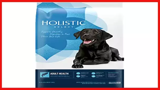Holistic Select Natural Grain Free Dry Dog Food, Adult & Puppy Salmon, Anchovy & Sardine Recipe, 24