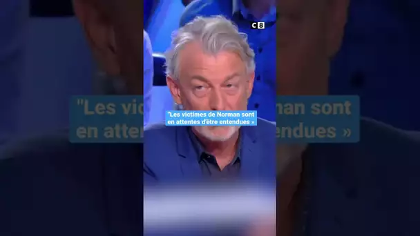 Quelles sont les charges retenues contre Norman ? #TPMP #shorts #norman