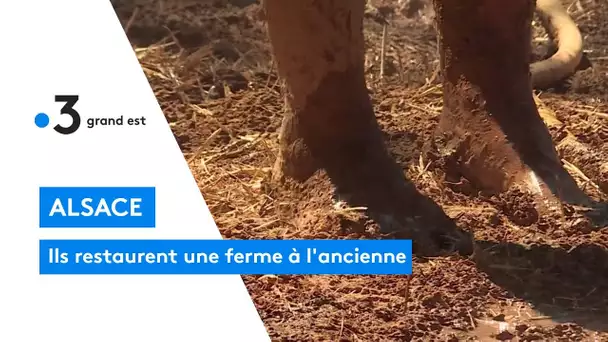 Alsace : ils restaurent une ferme à l'ancienne
