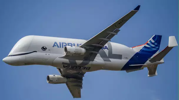 Saint-Nazaire : en phase de tests, le Beluga XL atterrit pour la première fois à Gron