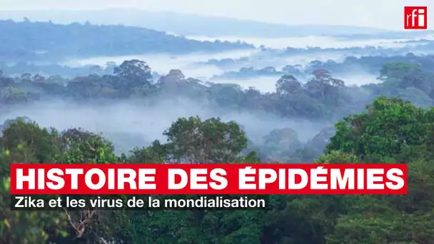 Histoire des épidémies #16 - Zika et les virus de la mondialisation