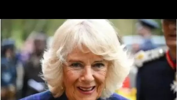 Fumer' Camilla 'se prélassait' dans le Wiltshire quand Charles était parti et avait des 'dîners bruy