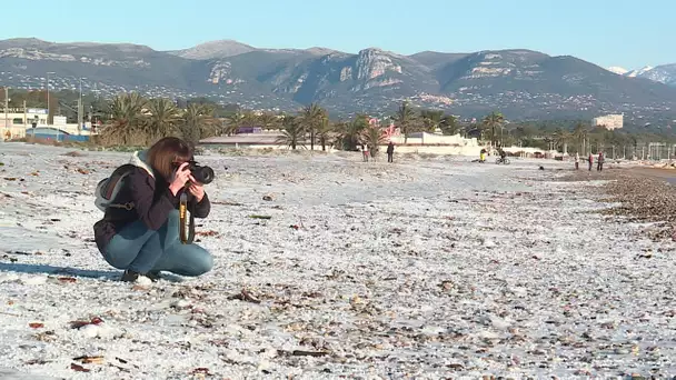 VS CHUTES DE NEIGE SUR COTE D AZUR