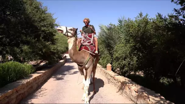 Décalage horaire #6 - De Tulle à Agadir : la kasbah d’Hélène dans l’Atlas marocain