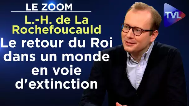 Le retour du Roi dans un monde en voie d'extinction- Le Zoom - Louis-Henri de La Rochefoucauld - TVL