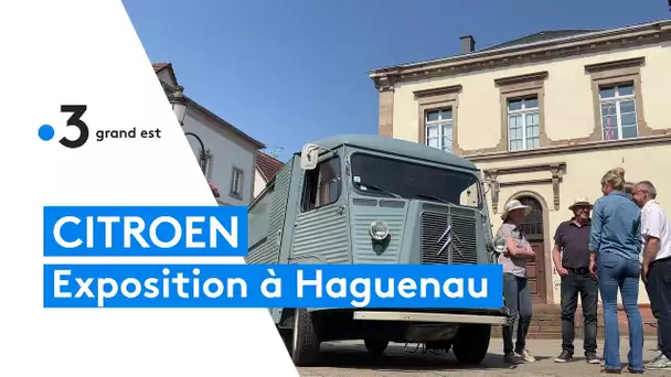 Exposition : Les Citroën d'hier à aujourd'hui à Haguenau