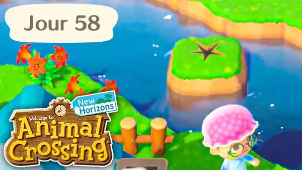 Jour 58 | Le fossile inaccessible ! | Animal Crossing : New Horizons