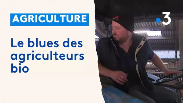 Les agriculteurs manifestent : portrait d'un agriculteur bio