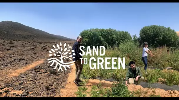 Sand to Green : la culture d'arbres fruitiers et d'herbes aromatiques pour transformer le désert …