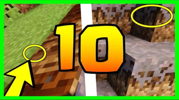 LE SAVIEZ VOUS ? 10 SECRETS SUR LA DIRT MINECRAFT