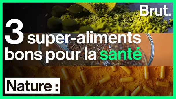 3 super-aliments bons pour la santé