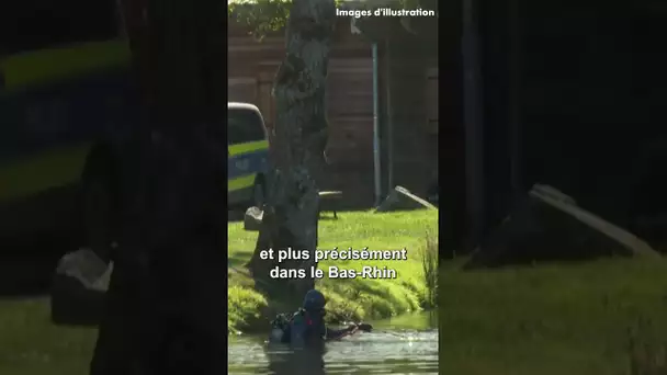 Des fouilles ont commencé en Alsace pour tenter de retrouver Lina, une adolescente de 15 ans.