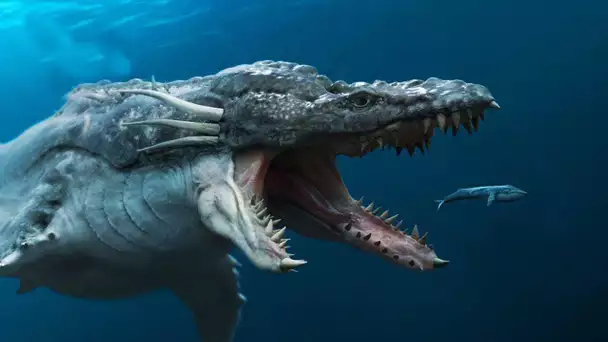 MONSTRES MARINS PLUS TERRIFIANTS QUE LE MÉGALODON !