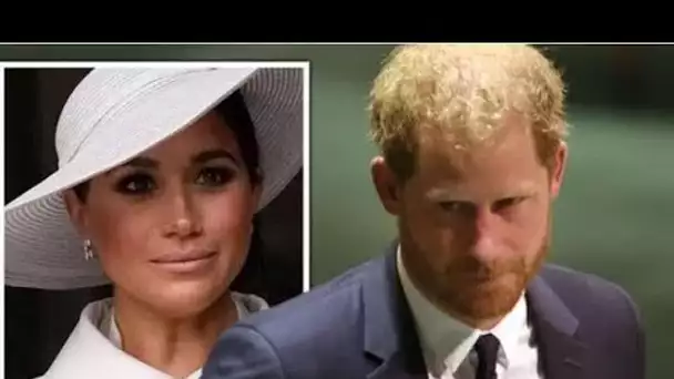 Royal Family LIVE: «Manhunt Meghan» est devenu «médico-légal» à la recherche d'un mari, selon le bio