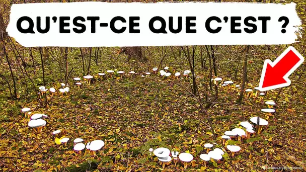 11 Phénomènes Naturels Mystérieux Que tu ne Verras Que si tu as Beaucoup de Chance