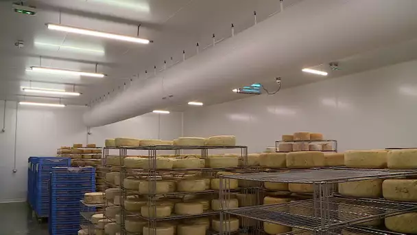 Université de Pau, MTEE forme au génie climatique sur des caves à fromage béarnaises