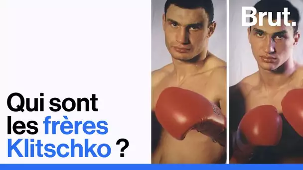 Guerre en Ukraine : qui sont les frères Klitschko ?
