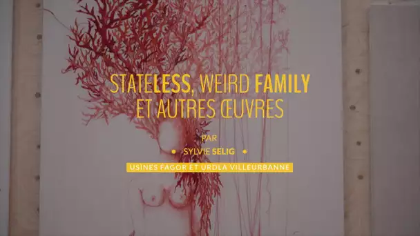 Biennale d'art contemporain de Lyon : «Stateless, Weird Family, et autres œuvres» de Sylvie Selig