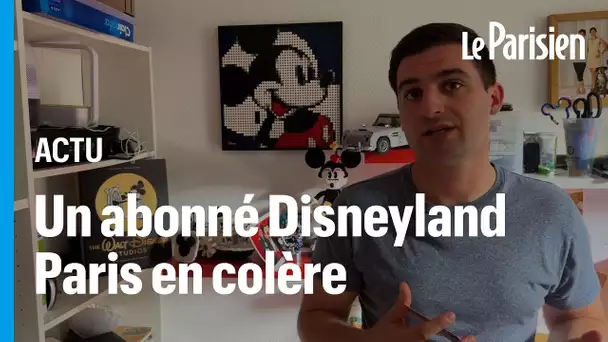 « Je suis fan de la magie, pas du pognon" : un abonné à Disneyland Paris en colère à cause des prix