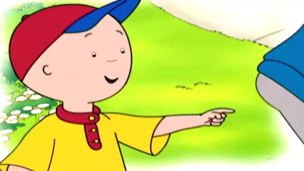 La Blague Drôle de Caillou | Caillou en Français