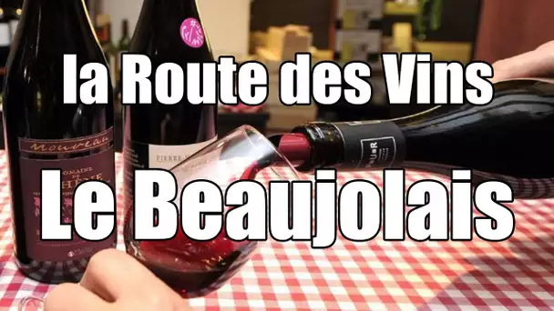 La Route des vins -  Le Beaujolais Nouveau - Film documentaire