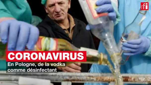 Coronavirus : de la vodka comme désinfectant en Pologne