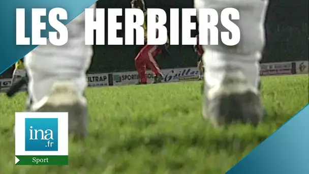 Les Herbiers, le foot dans les bistrots | Archive INA