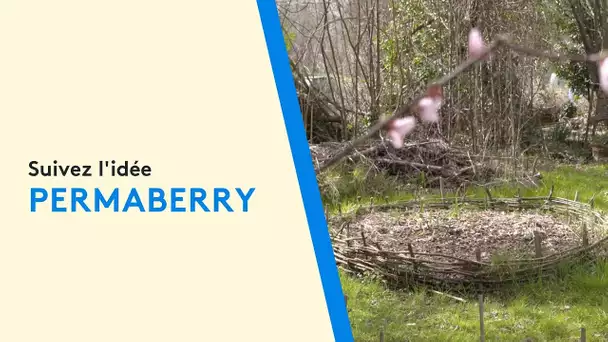 Suivez l'idée : découvrez PermaBerry, une association qui enseigne la permaculture