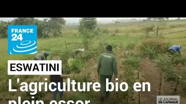 En Eswatini, l'agriculture biologique en pleine croissance • FRANCE 24