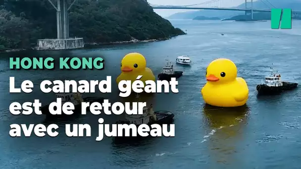 Dix ans après, le canard jaune géant de Hong Kong est de retour avec un jumeau