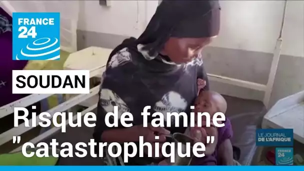 Soudan : risque de famine "catastrophique" • FRANCE 24