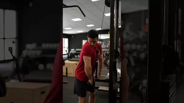 How to get bigger triceps ?? 😱😱