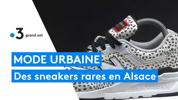 Mode urbaine : deux Alsaciens collectionneurs et vendeurs sneakers rares