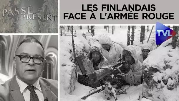 La résistance acharnée des Finlandais face à l'Armée rouge - Passé-Présent n°262