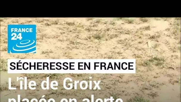 Sécheresse en France : l'île de Groix placée en alerte renforcée • FRANCE 24