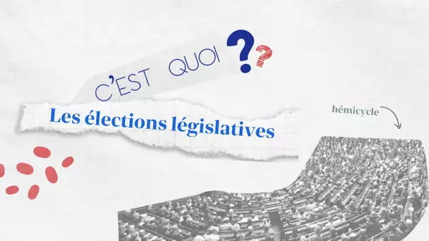 C'EST QUOI LES LÉGISLATIVES ? À quoi sert un député ?