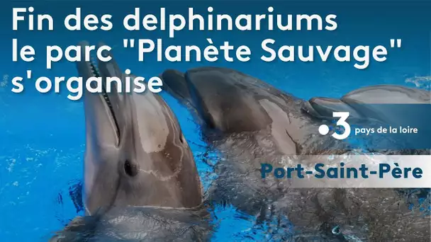 Fin des delphinariums :  Le parc Planète Sauvage s'organise