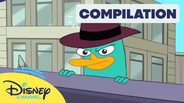 Quand Perry rencontre Hamster - Compilation Perry
