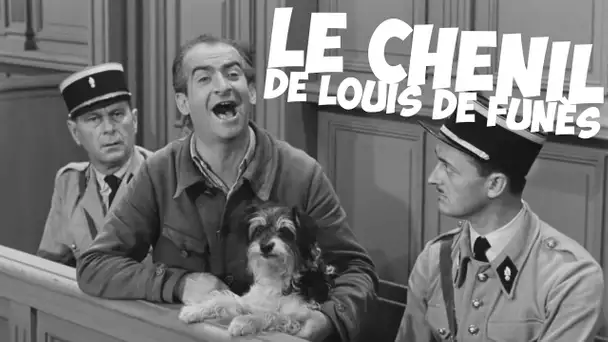 Les canidés chez Louis de Funès !