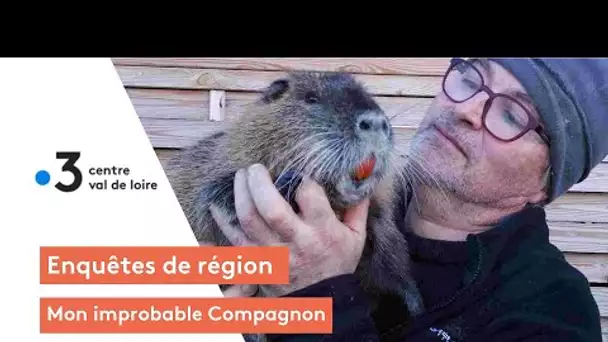 Enquêtes de région : mon improbable Compagnon