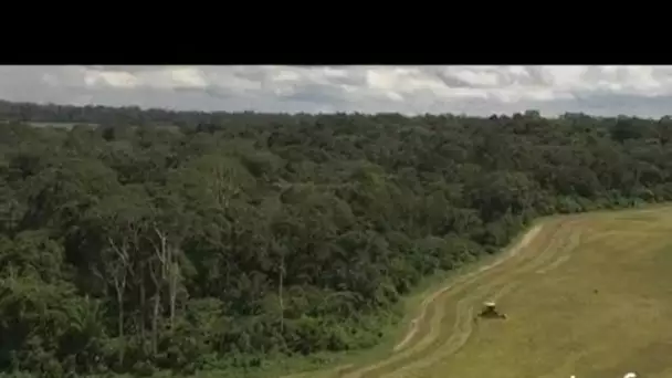 Brésil : forêt et champs cultivés en Amazonie