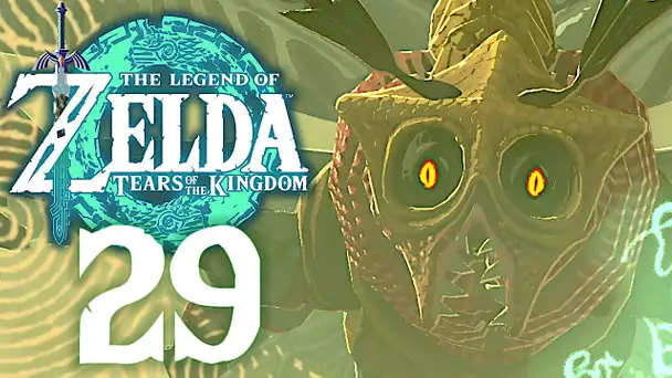 ZELDA TEARS OF THE KINGDOM #29 | LE TEMPLE DE LA FOUDRE ET LE DERNIER BOSS ?