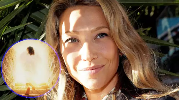 Laura Smet : son message de paix pour les fêtes de Pâques