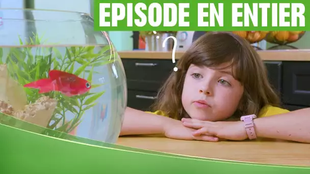 Kid'z en forme - Episode 2 : L'eau