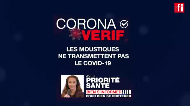 NON, les moustiques ne transmettent pas le Covid-19 ! CoronaVérif #12