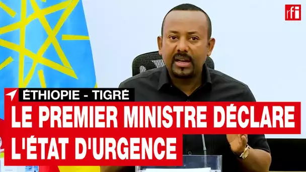 Éthiopie : face à l'avancée rebelle, le Premier ministre déclare l'état d'urgence  • RFI