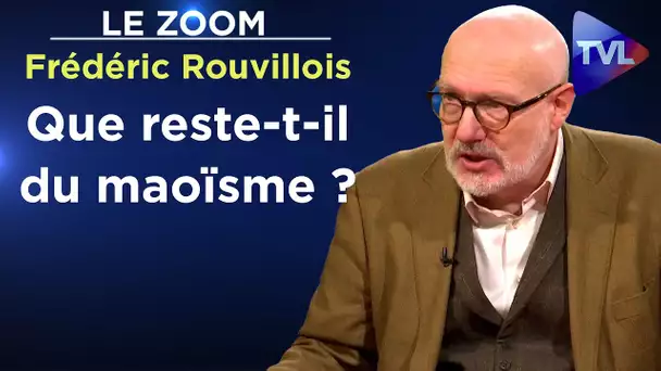 Plongée dans la terreur du maoïsme - Le Zoom - Frédéric Rouvillois - TVL