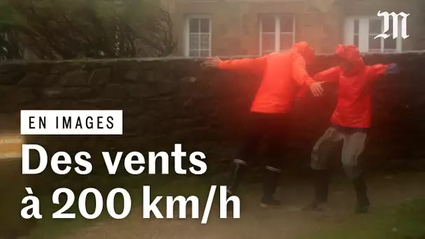 De la Bretagne au nord de la France, les images de la tempête Ciaran